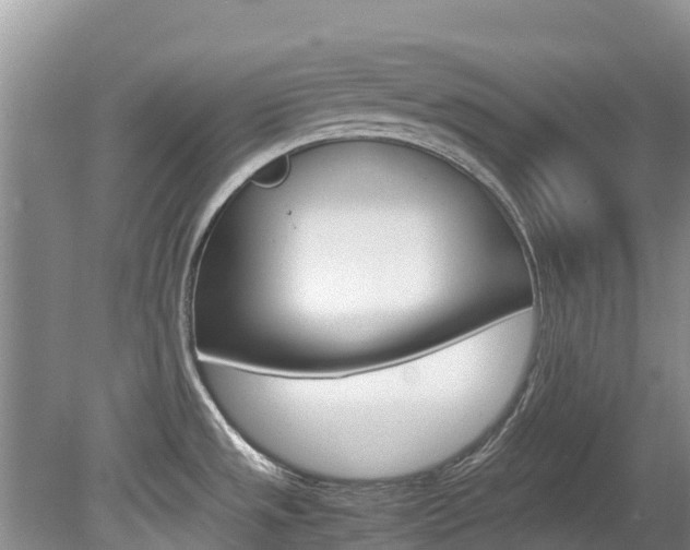 X0000080111533200612080942