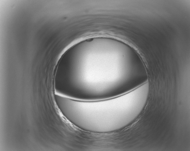 X0000080111534200612080942