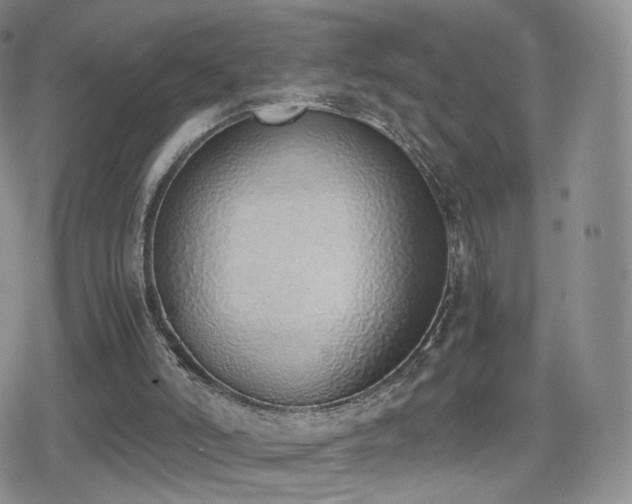 X0000080110006200612081238
