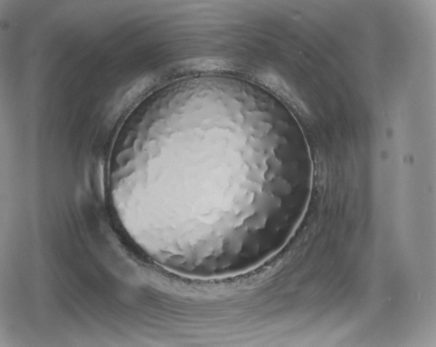 X0000080110014200612081238