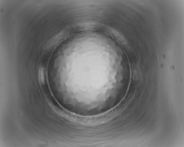 X0000080110026200612081238