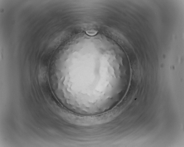 X0000080110034200612081238