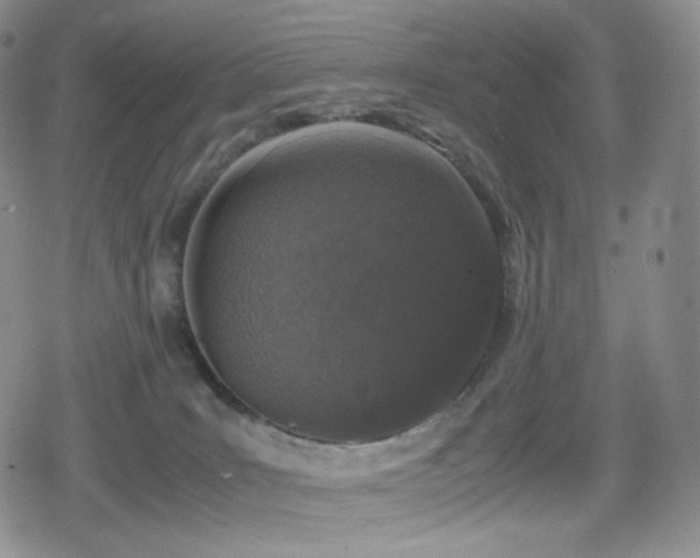 X0000080110035200612081238