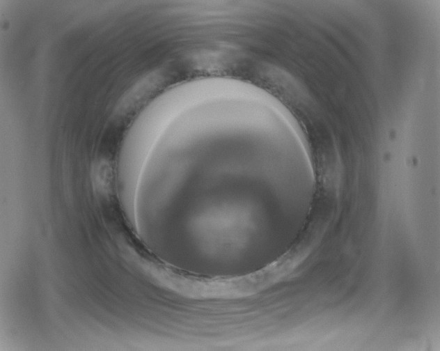 X0000080110036200612081238
