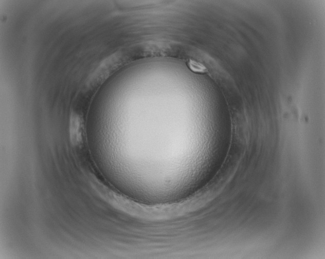 X0000080110038200612081238
