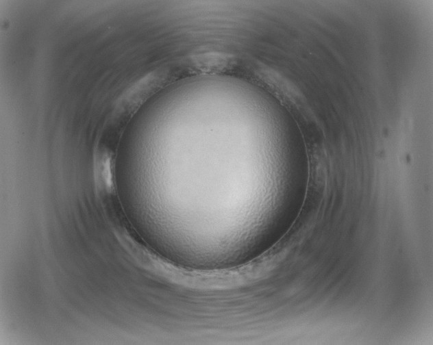 X0000080110042200612081238