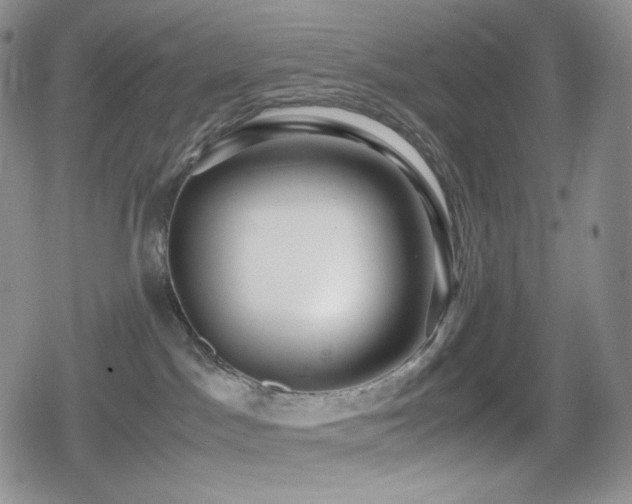 X0000080110045200612081238