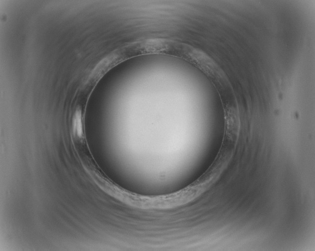 X0000080110046200612081238