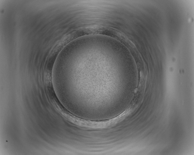 X0000080110048200612081238