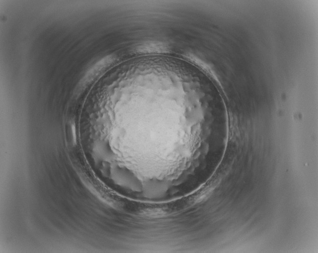 X0000080110061200612081237