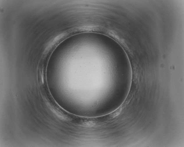 X0000080110062200612081237