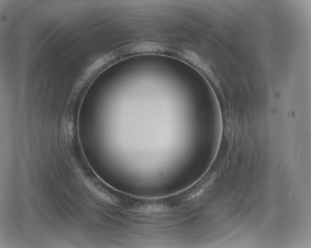 X0000080110063200612081237