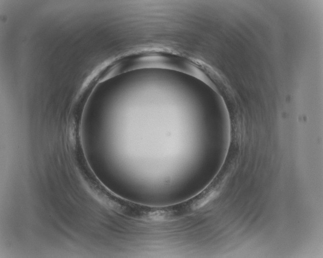 X0000080110064200612081237