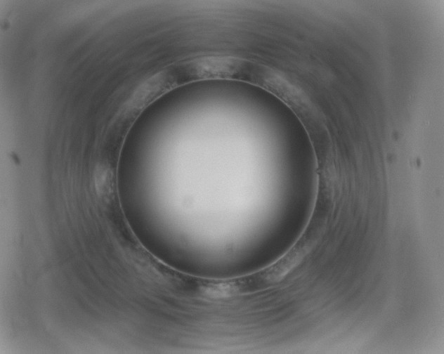 X0000080110079200612081237