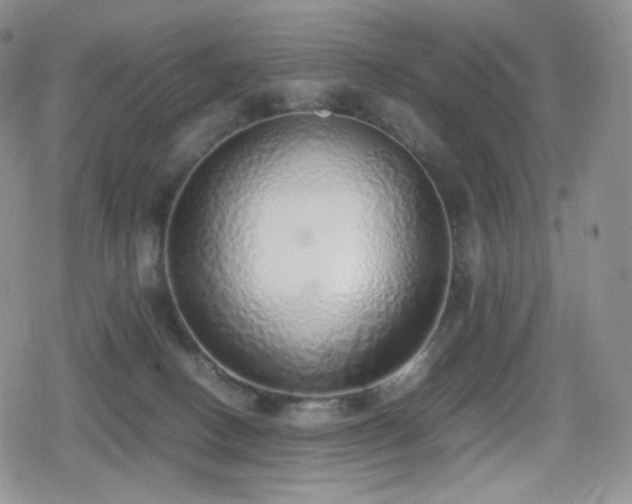 X0000080110082200612081238