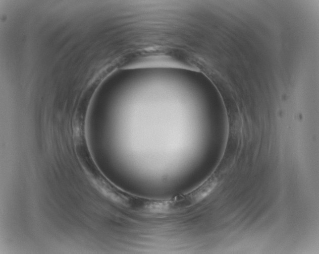 X0000080110084200612081238