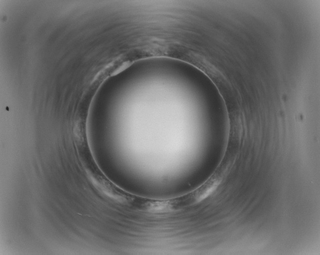 X0000080110088200612081238