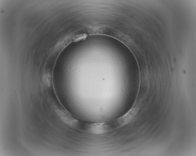 X0000080110090200612081238