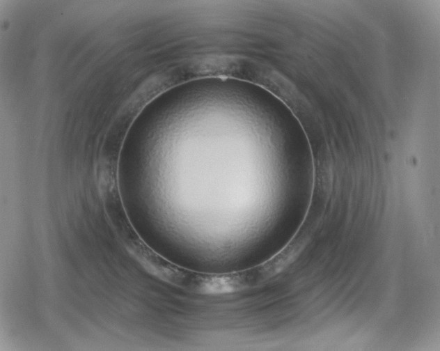 X0000080110091200612081238