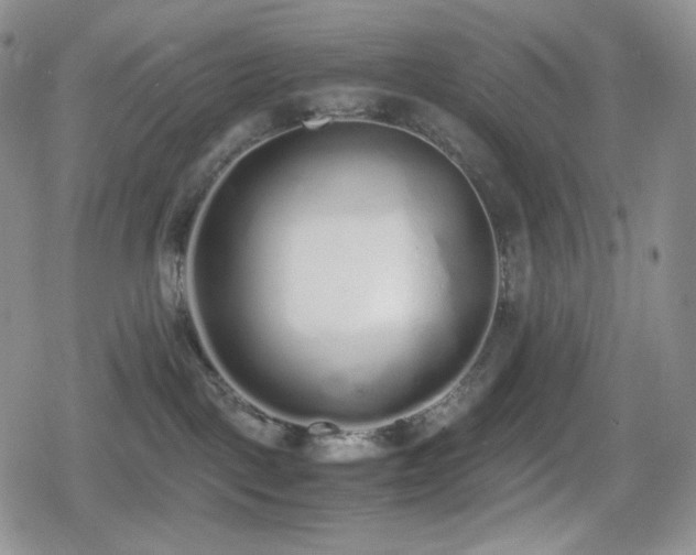 X0000080110093200612081238