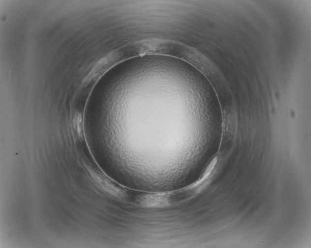 X0000080110094200612081238
