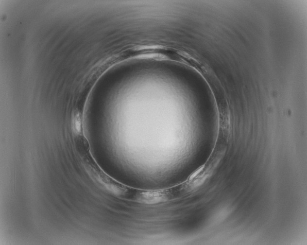 X0000080110095200612081238