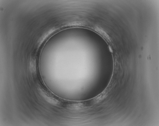 X0000080110108200612081237
