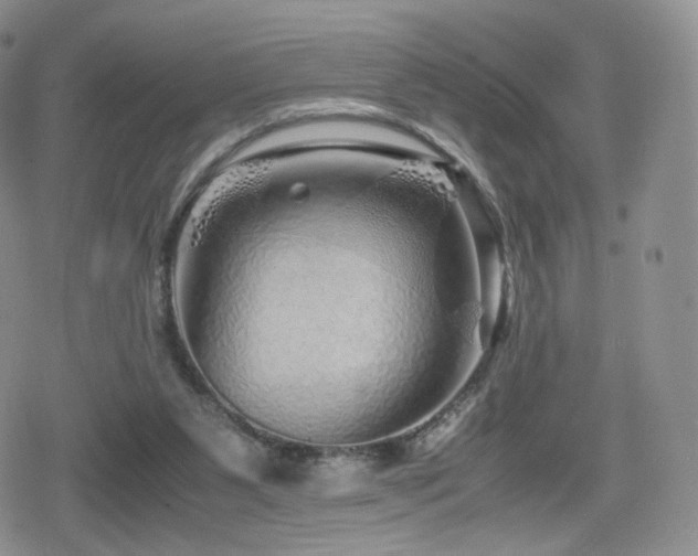 X0000080110111200612081237