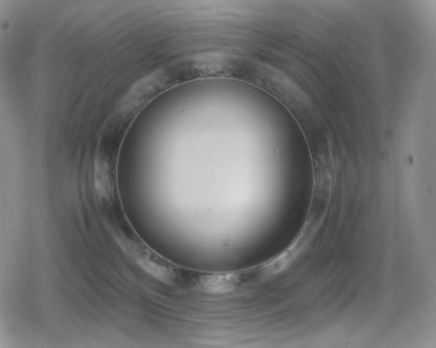 X0000080110136200612081236