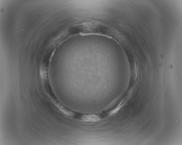X0000080110137200612081236