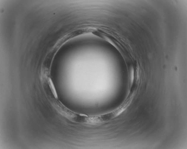 X0000080110141200612081236