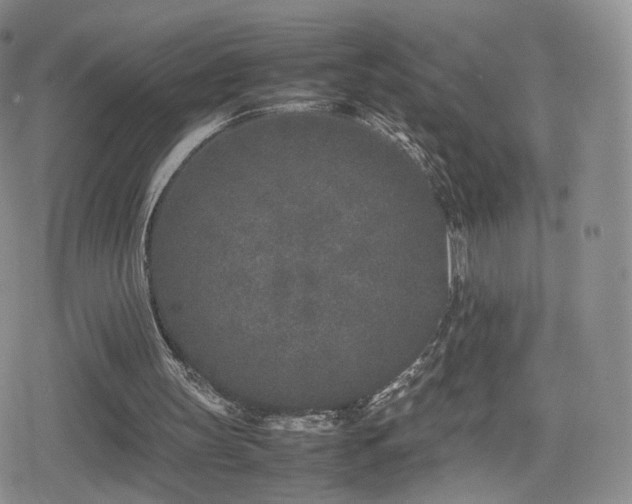 X0000080110147200612081235