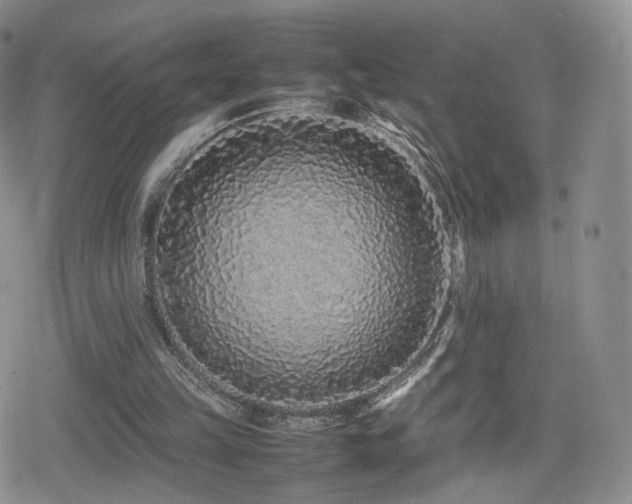X0000080110149200612081235