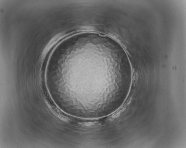 X0000080110151200612081236