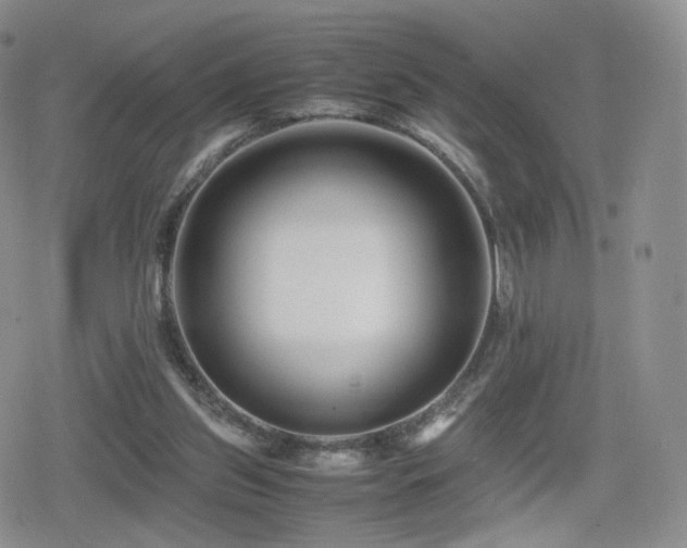 X0000080110157200612081236
