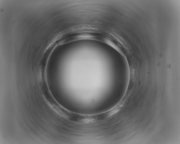 X0000080110158200612081236