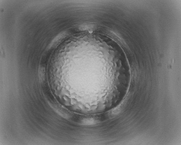 X0000080110171200612081236
