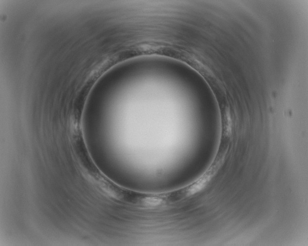 X0000080110176200612081236