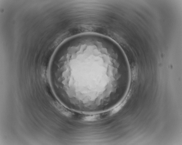 X0000080110178200612081236