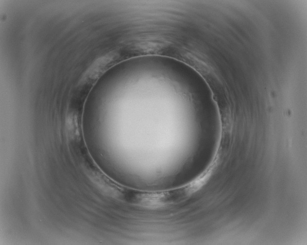X0000080110182200612081236