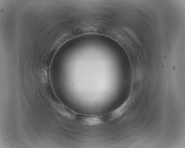 X0000080110183200612081236