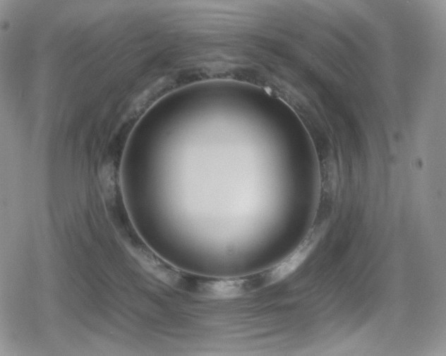 X0000080110184200612081236