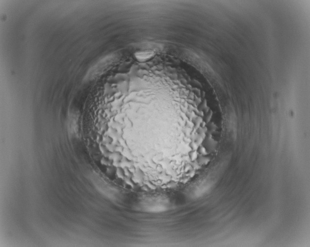 X0000080110185200612081236
