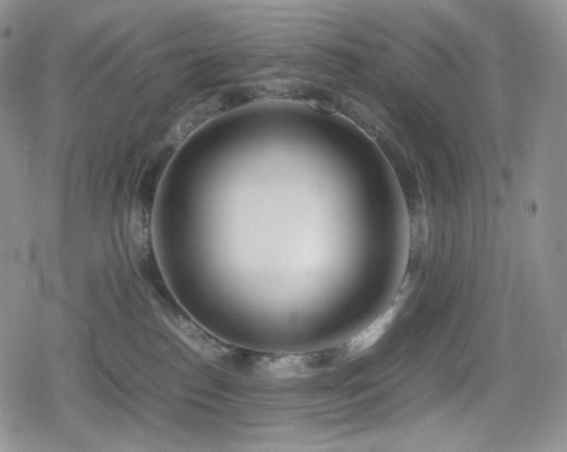 X0000080110186200612081236