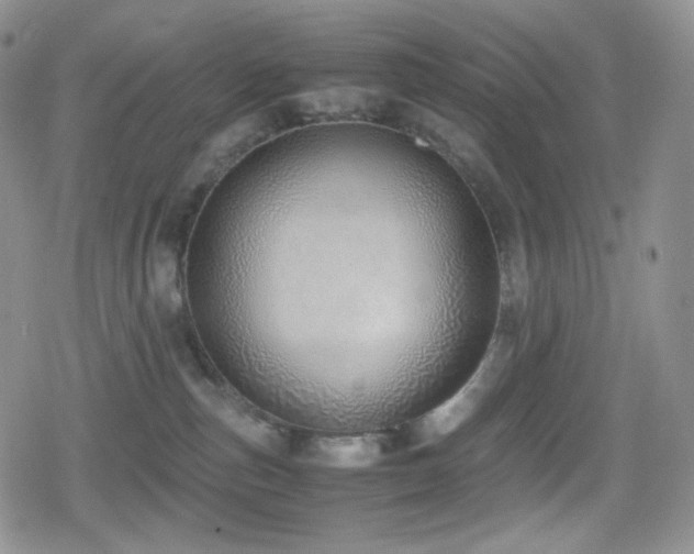 X0000080110187200612081236