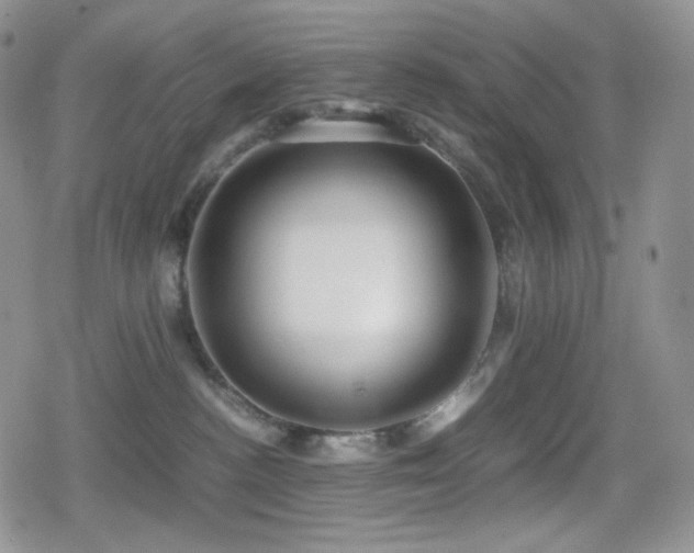 X0000080110188200612081236