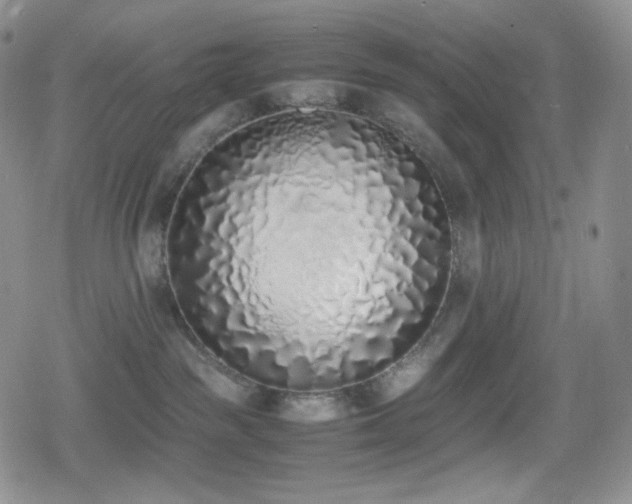 X0000080110189200612081236