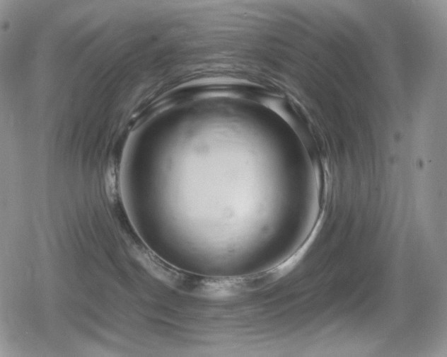 X0000080110190200612081236