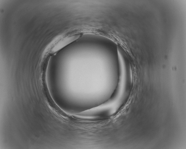 X0000080110197200612081235