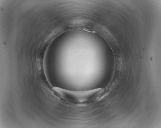 X0000080110232200612081235